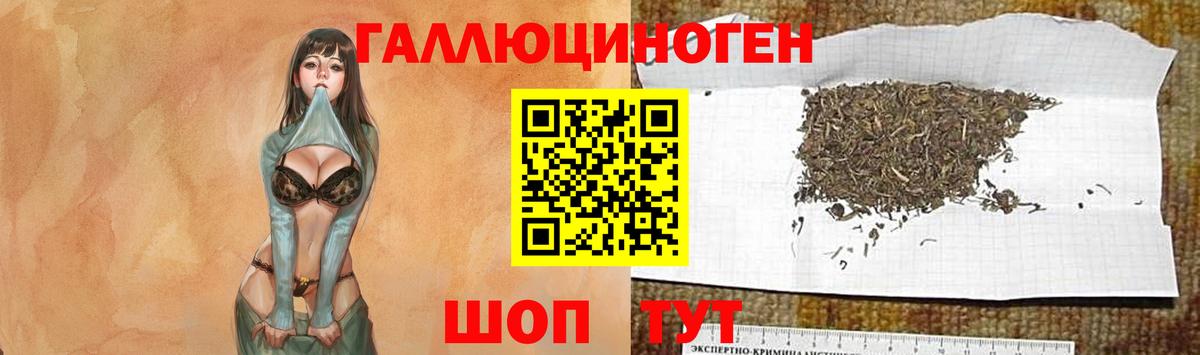 Галлюциногенные грибы ЛСД  Вход с VPN  Галлюциногенные грибы Cubensis  Новозыбков 